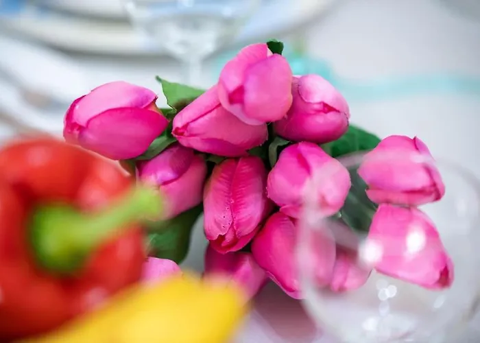 Apartment View Of Sparta! *